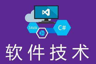 湖南中專軟件技術(shù)專業(yè)對口升學(xué)路徑 單招學(xué)校與金融服務(wù)外包機(jī)遇